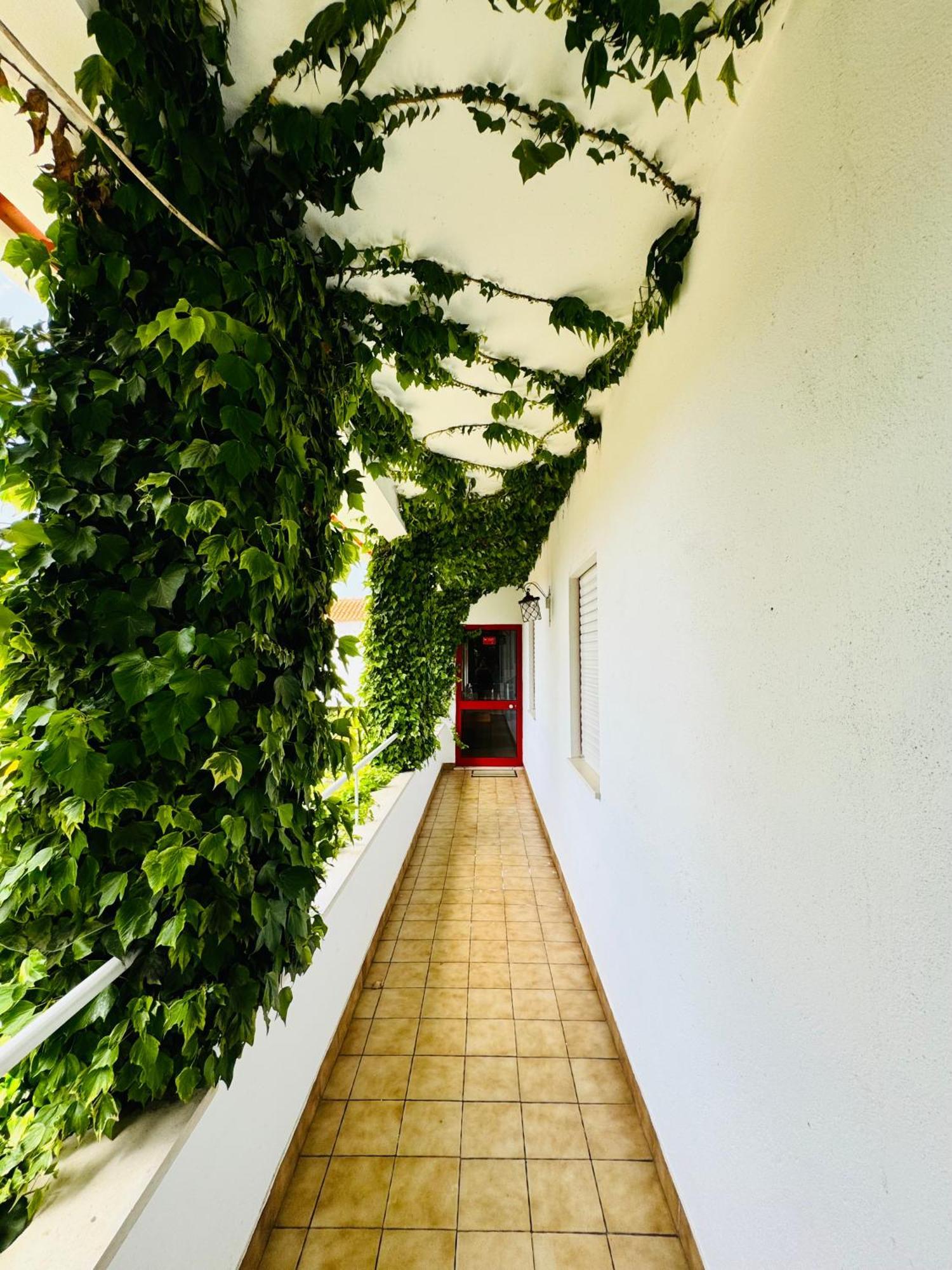 Nature & Beach Guest Rooms, Aldeamento Turistico Do Camarido Cristelo  Bagian luar foto